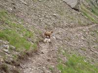 Youri - Ecrins 2005 302 